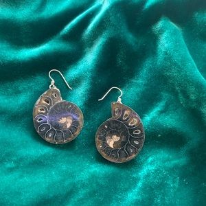 Ammonite fossil earrings